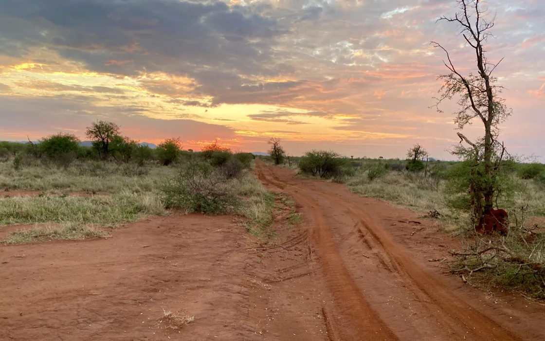 Red laterite road through the Botswana bush at sunset.