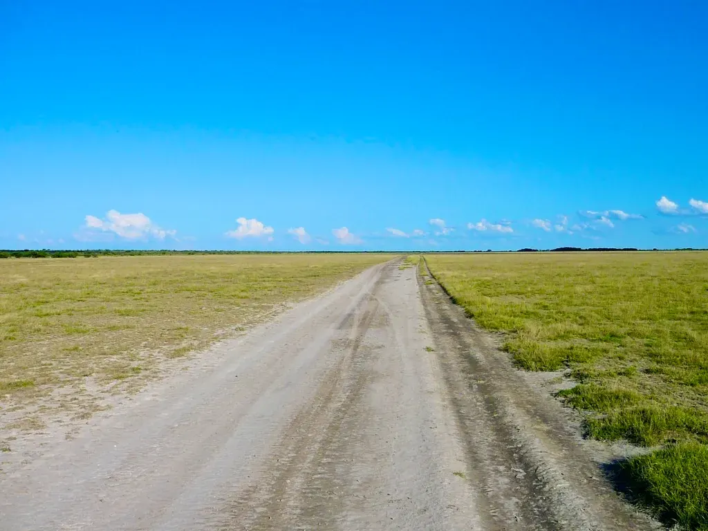 A sandy Kalahari track stretching toward the horizon — the African landscape that shaped Errol Damelin.